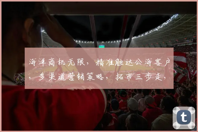 海洋商机无限，精准触达公海客户，多渠道营销策略，拓市三步走，高效转化率提升三成