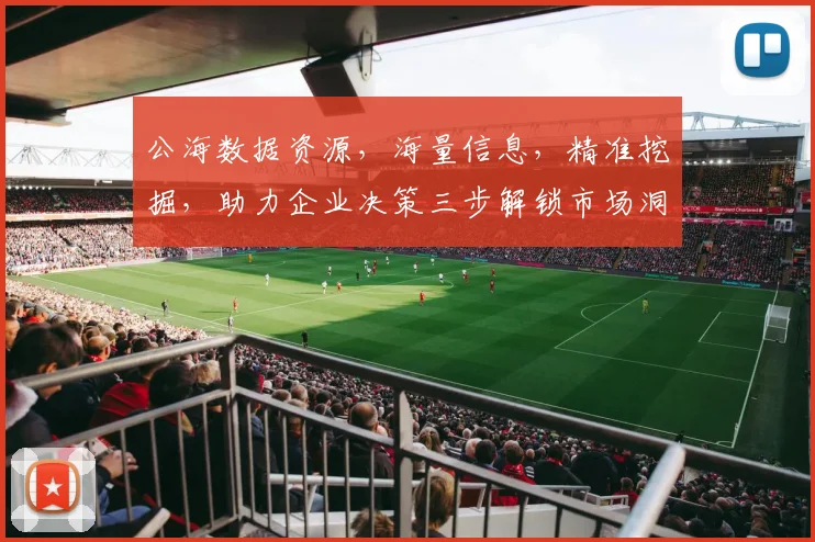公海数据资源，海量信息，精准挖掘，助力企业决策三步解锁市场洞察