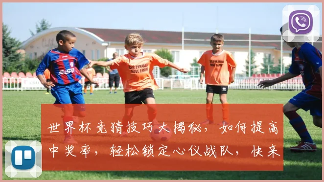 世界杯竞猜技巧大揭秘，如何提高中奖率，轻松锁定心仪战队，快来看看